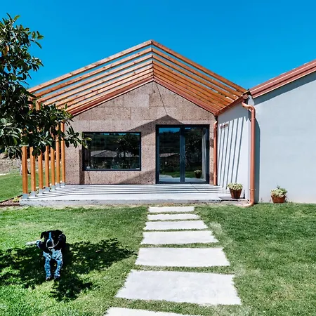 2 Immerso Nel Vigneto Hébergement de vacances Caltagirone