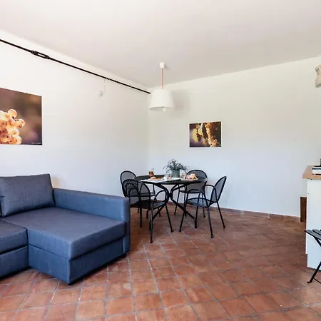 2 Immerso Nel Vigneto Hébergement de vacances