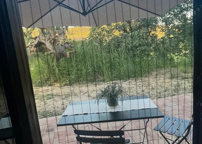 2 Immerso Nel Vigneto Hébergement de vacances *